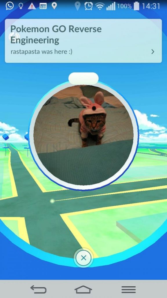Risks - or not - Behind Pokémon Go -6